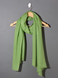LIGHT GREEN Solid Pashmina